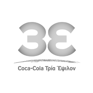 300px 3E